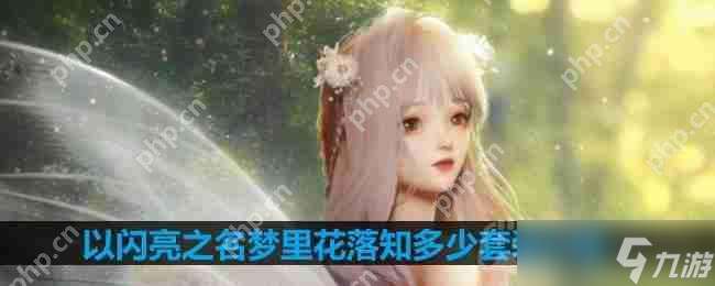 以閃亮之名夢里花落知多少套裝介紹-夢里花落知多少細節展示