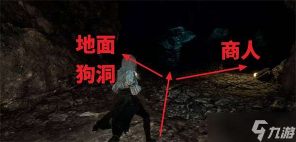 光与影33号远征队繁叶结如何获取