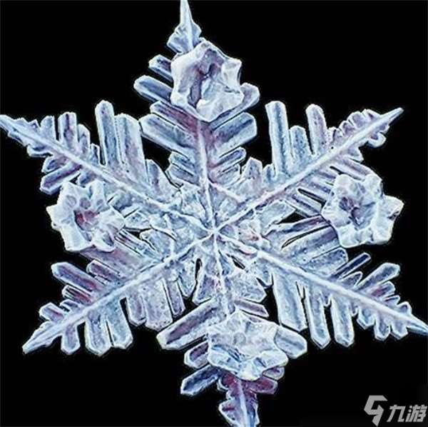 光与影33号远征队吕涅雪结如何获取