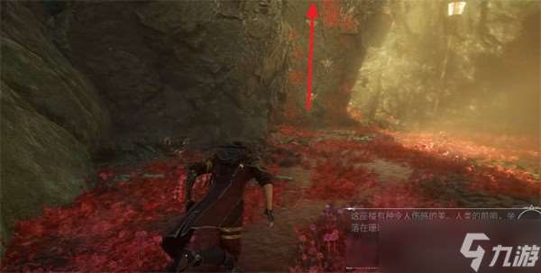 光与影33号远征队振奋击破如何获取