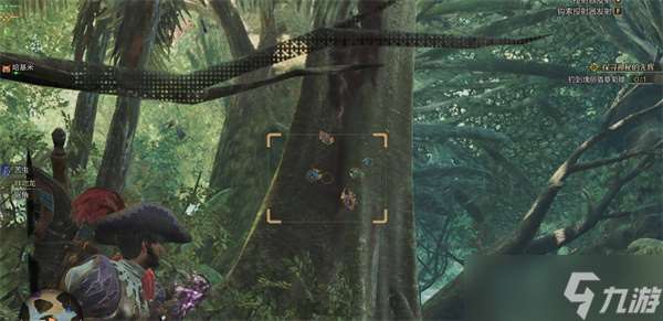 怪物猎人荒野瑰宝金龟子捕捉指南