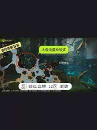 怪物獵人荒野大魚在哪釣