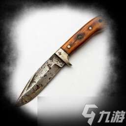 《埃博拉村莊》全成就一覽