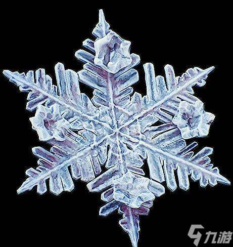 《光与影33号远征队》吕涅雪结获取方法 雪结属性及词条一览