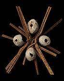 《光与影33号远征队》吕涅合赞结获取方法 合赞结属性及词条一览