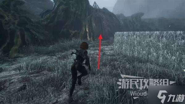 《光與影33號遠(yuǎn)征隊》瑪埃爾穿雪獲取方法 穿雪屬性及詞條一覽