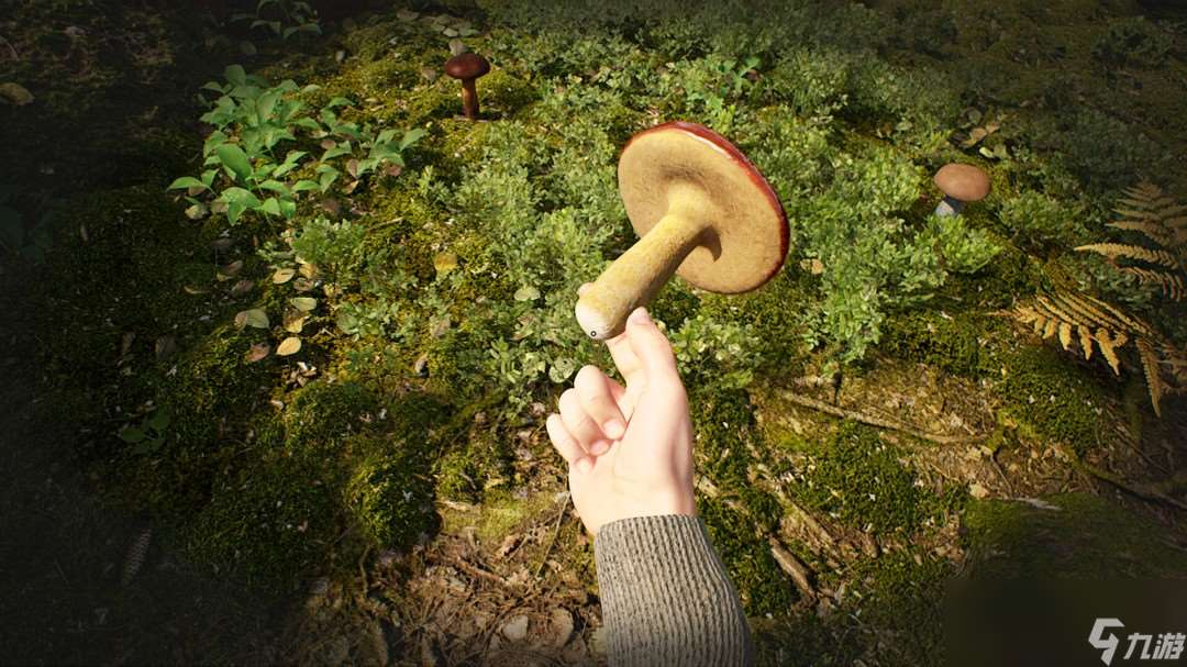 采蘑菇模擬游戲《蘑菇獵人模擬器》上架Steam Q3發售