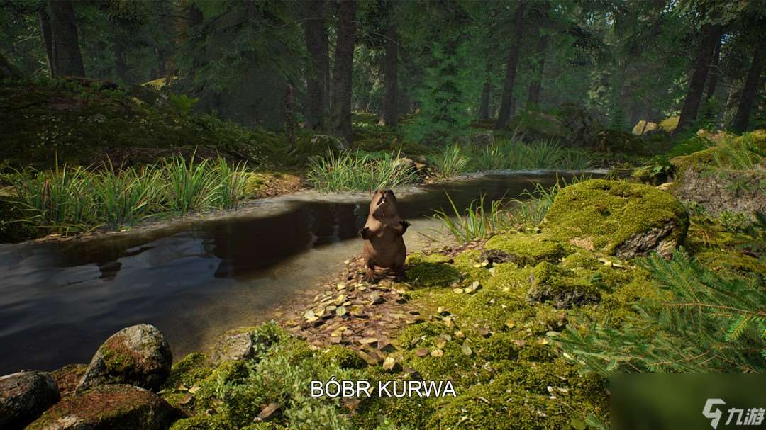 采蘑菇模擬游戲《蘑菇獵人模擬器》上架Steam Q3發售