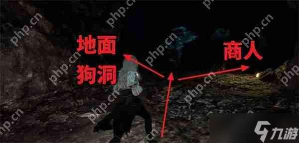 光與影 33 號遠征隊繁葉結獲取攻略：陰森洞穴尋寶指南