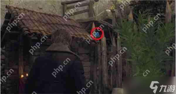 生化危机4重制版5个蓝球位置在哪-5个蓝球位置介绍