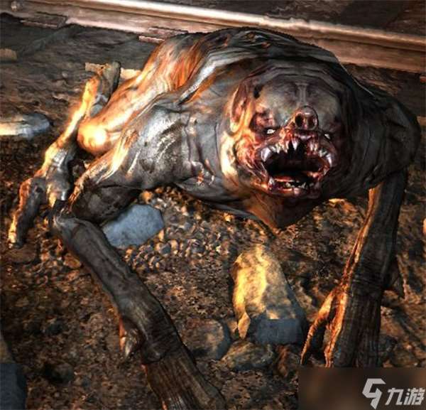 地鐵2033怪物圖鑒介紹