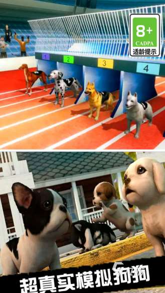 有没有适合6岁孩子玩的益智游戏介绍2025 6岁孩子爱玩的益智游戏汇总