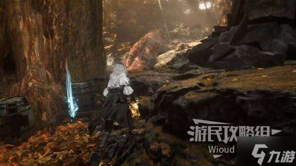 《光与影33号远征队》落叶地探索攻略 落叶地全收集指南