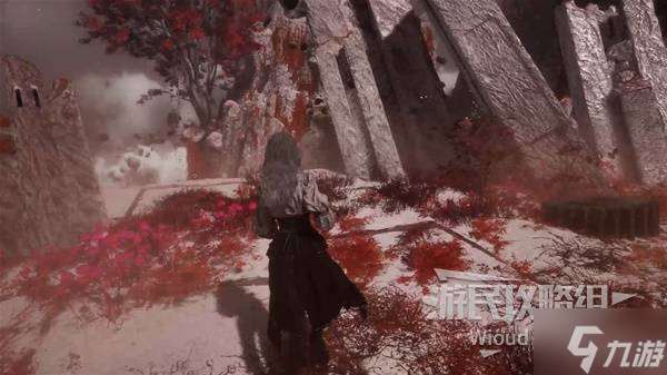 《光與影33號遠(yuǎn)征隊》緋紅森林探索攻略 緋紅森林全收集指南