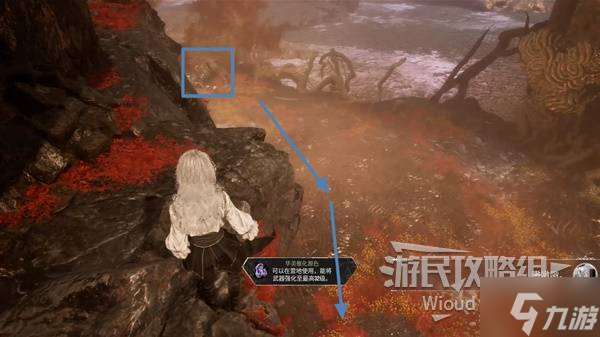 《光与影33号远征队》眼眸岛探索攻略 眼眸岛全收集指南