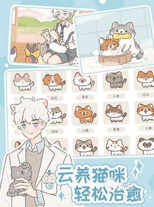 有趣的养猫手游怎么下载 2025热门的养猫手游合集