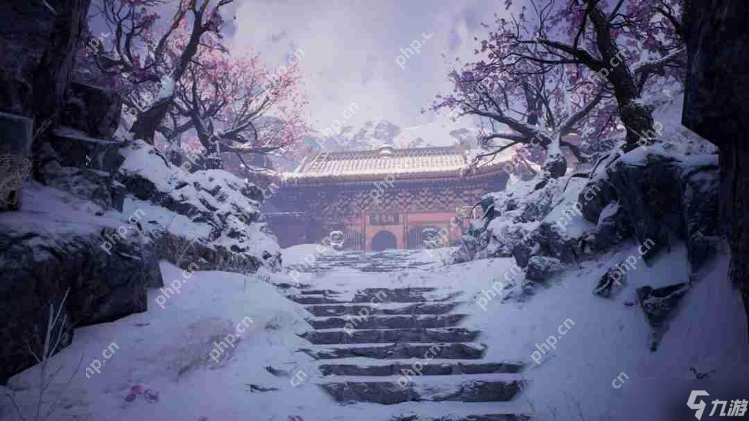 國產古風游戲《火起雪中寺》發售 有美女姐姐喲