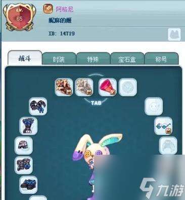 彩虹岛显示等级的方法是什么？