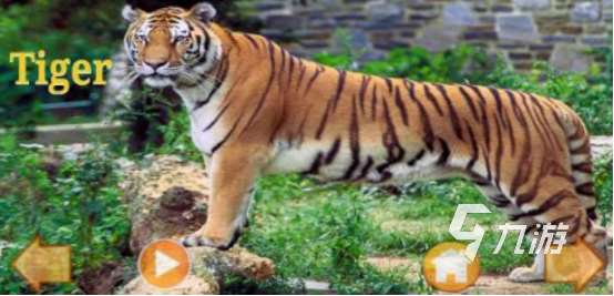 有趣的3d動物探索手游下載在哪里耐玩的動物手游推薦2025
