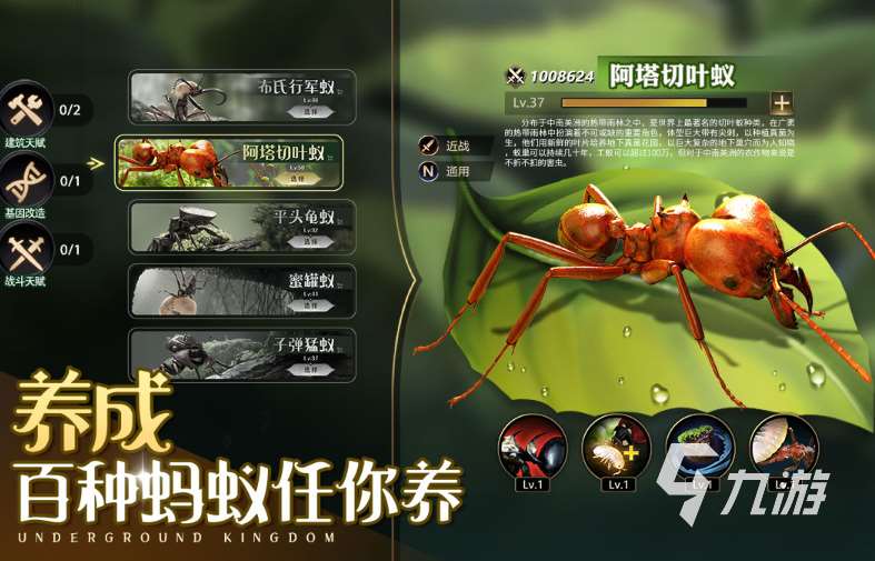 2025十大即時戰略單機游戲有哪些 好玩的戰略游戲大全