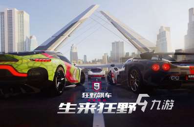 经典的驾驶游戏大型游戏合集 2025必玩的驾驶游戏下载分享