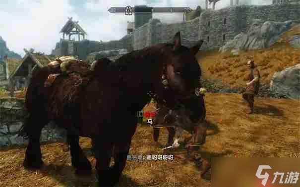 上古卷轴5马怎么召唤过来