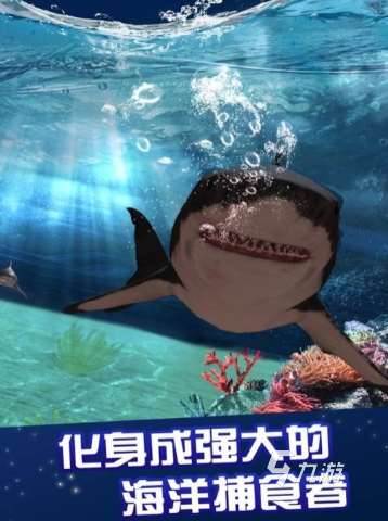 類似史前鯊魚游戲有哪些 2025好玩的鯊魚游戲合集
