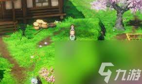 DQ3重制版回音帽怎么獲取