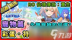 仙境传说重生如何搭配不同职业的宠物