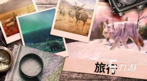 有意思的美国狩猎游戏是什么 2025有趣的狩猎手游盘点