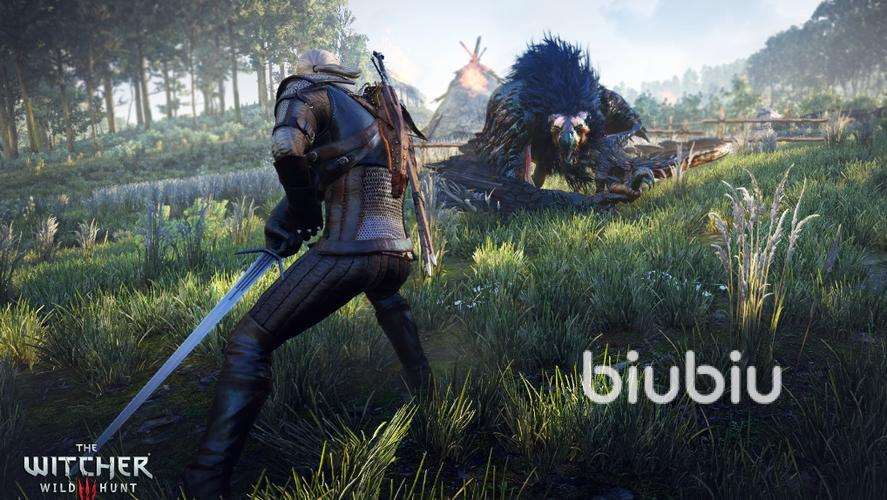 巫师3闪退原因有哪些 巫师3闪退解决办法