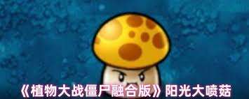植物大戰僵尸融合版陽光大噴菇如何
