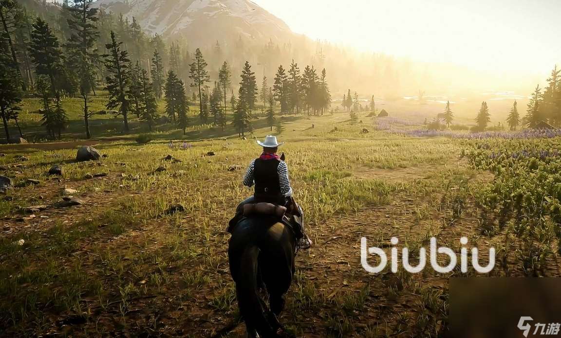 荒野大鏢客2掉線掉幀延遲解決方法有哪些 荒野大鏢客2加速器推薦