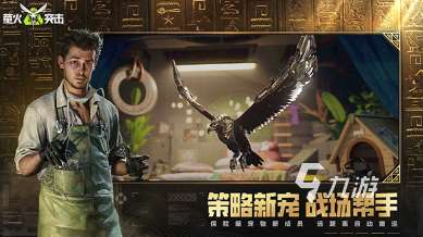 類似cf的槍戰網游有哪些 2025類似cf的槍戰游戲合集