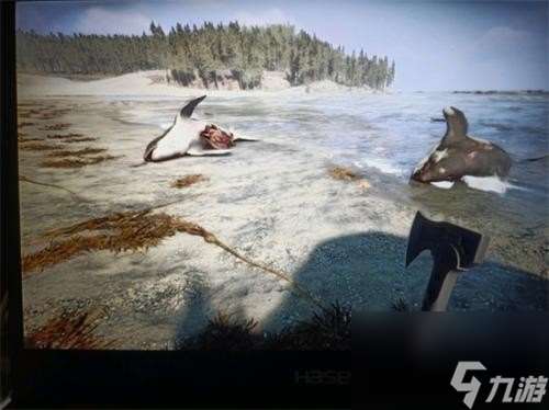 《森林之子》绳子获得方法