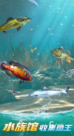 好玩的旅行钓鱼游戏下载 2025有趣的钓鱼手游分享