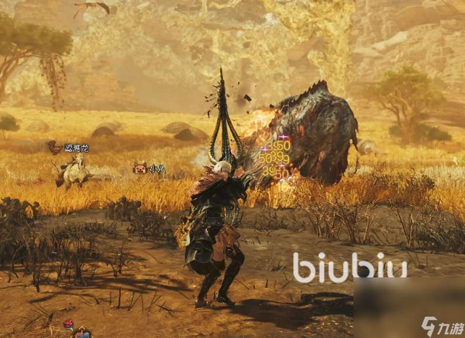 怪物猎人荒野加速器分享 怪物猎人荒野好用的加速器推荐