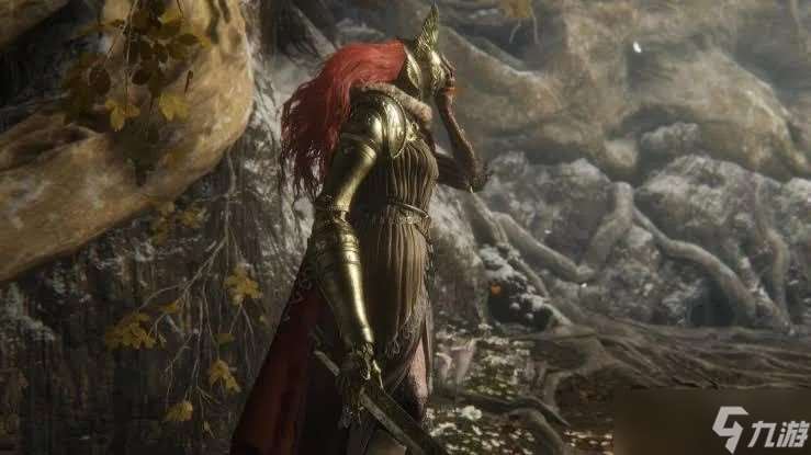 《老头环》女武神DLC反响：被批难度不足，引发热议