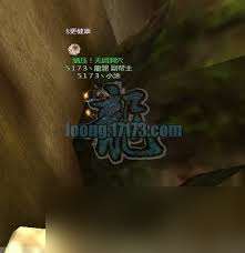 龙OL黑猫任务怎么过