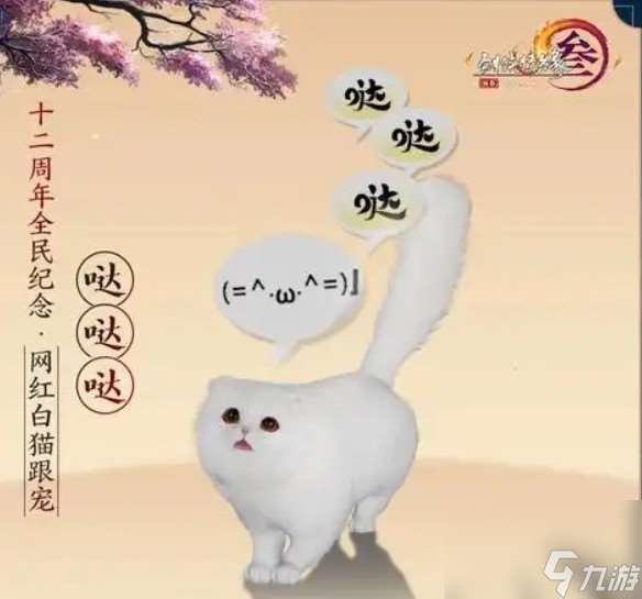 阿里跟寵如何獲得