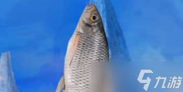神物塘天天釣魚攻略揭秘