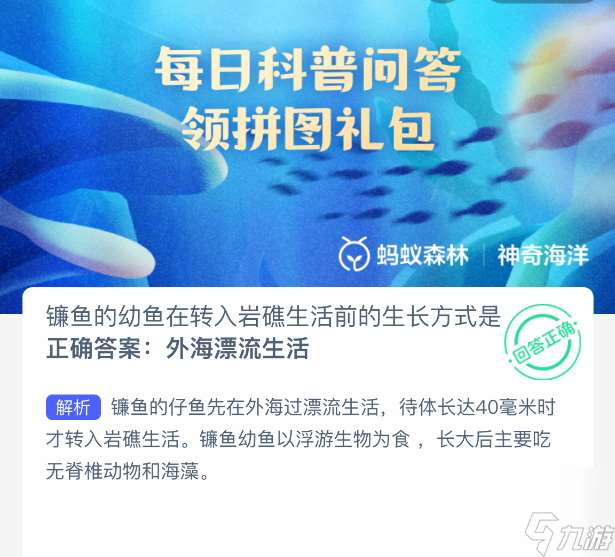 镰鱼的幼鱼在转入岩礁生活前的生长方式是