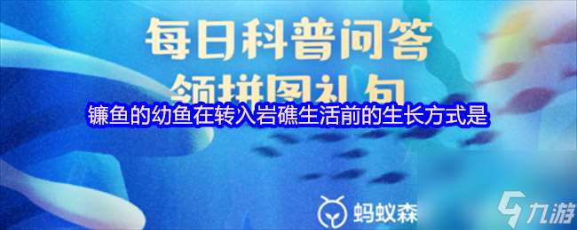 镰鱼的幼鱼在转入岩礁生活前的生长方式是