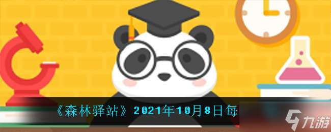 海豚潛水深度的極限是多少