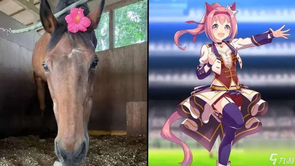給系統干崩潰了 《賽馬娘》春烏拉拉被粉絲送2噸牧草