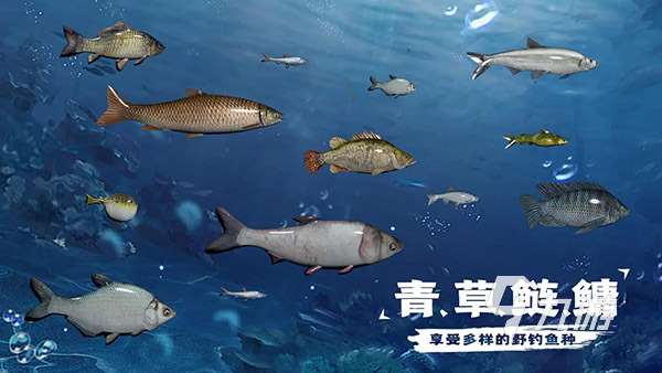 好玩的釣魚游戲大全 趣味的釣魚游戲推薦2025