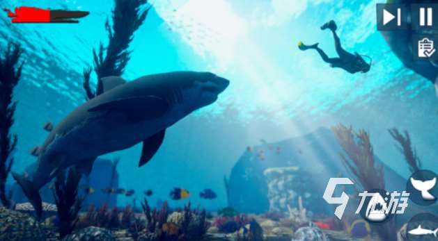 受歡迎的食人鯊游戲下載合集 人氣高的鯊魚游戲大全2025