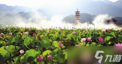 武義九州新手玩法攻略指南（從零開始）