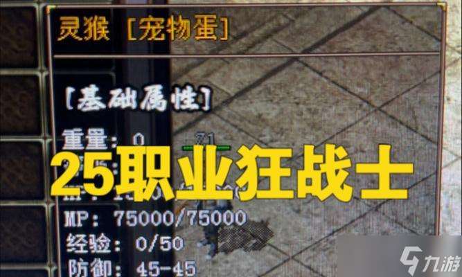 熱血傳奇寵物練級路線的選擇技巧是什么？