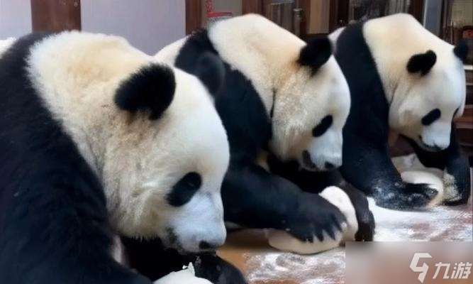 《熊貓面館新手玩法攻略指南》（探索熊貓面館世界的樂趣）